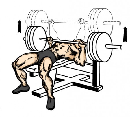 Bench - press (tlak na rovnej lavičke)